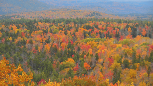Top Places to Visit for the Fall Foliage