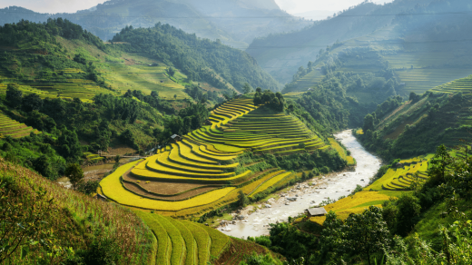 Two Weeks in Vietnam: A Journey Worth Planning Twice