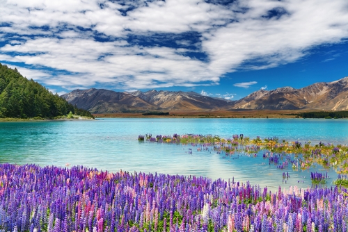 Weekend Wanderlust 