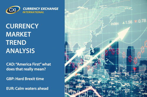 Currency Market Trend Analysis: January 23, 2017
