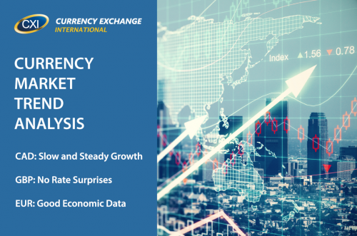 Currency Market Trend Analysis: February 06, 2017
