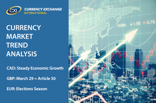 Currency Market Trend Analysis: March 20, 2017