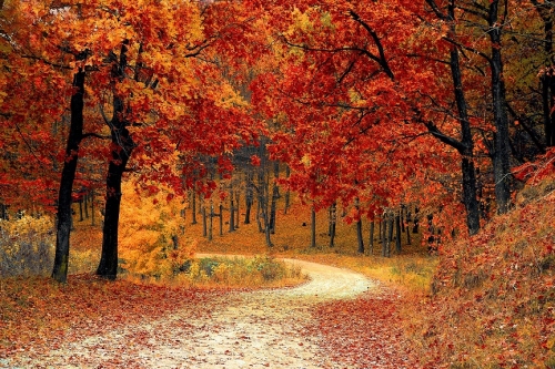 6 Most Colorful Cities to Visit This Fall in the U.S.