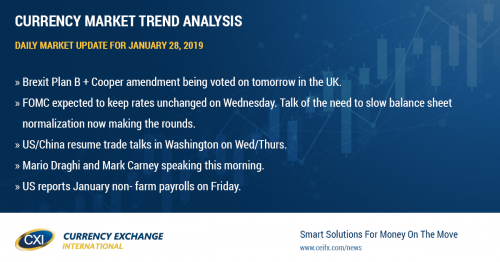 USD stabilizes ahead of very busy week ahead