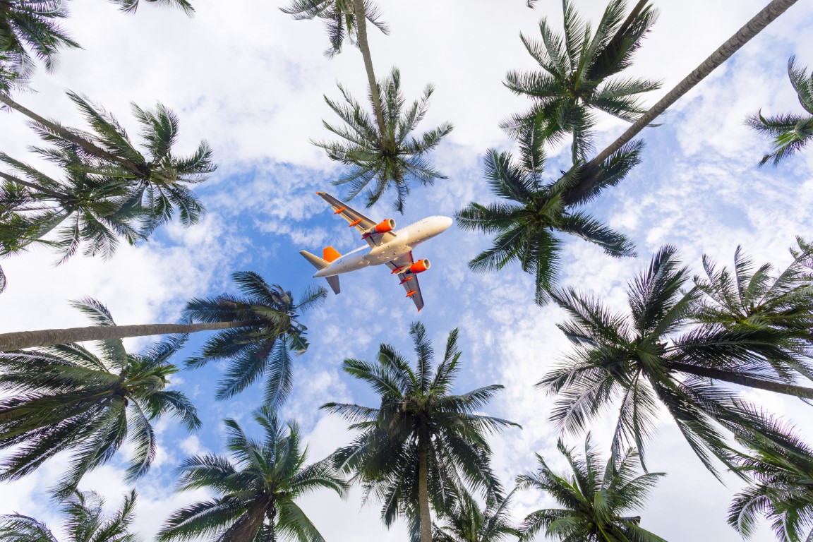 Airplane in sky above palm trees
