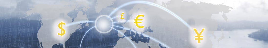 international wire payment banner