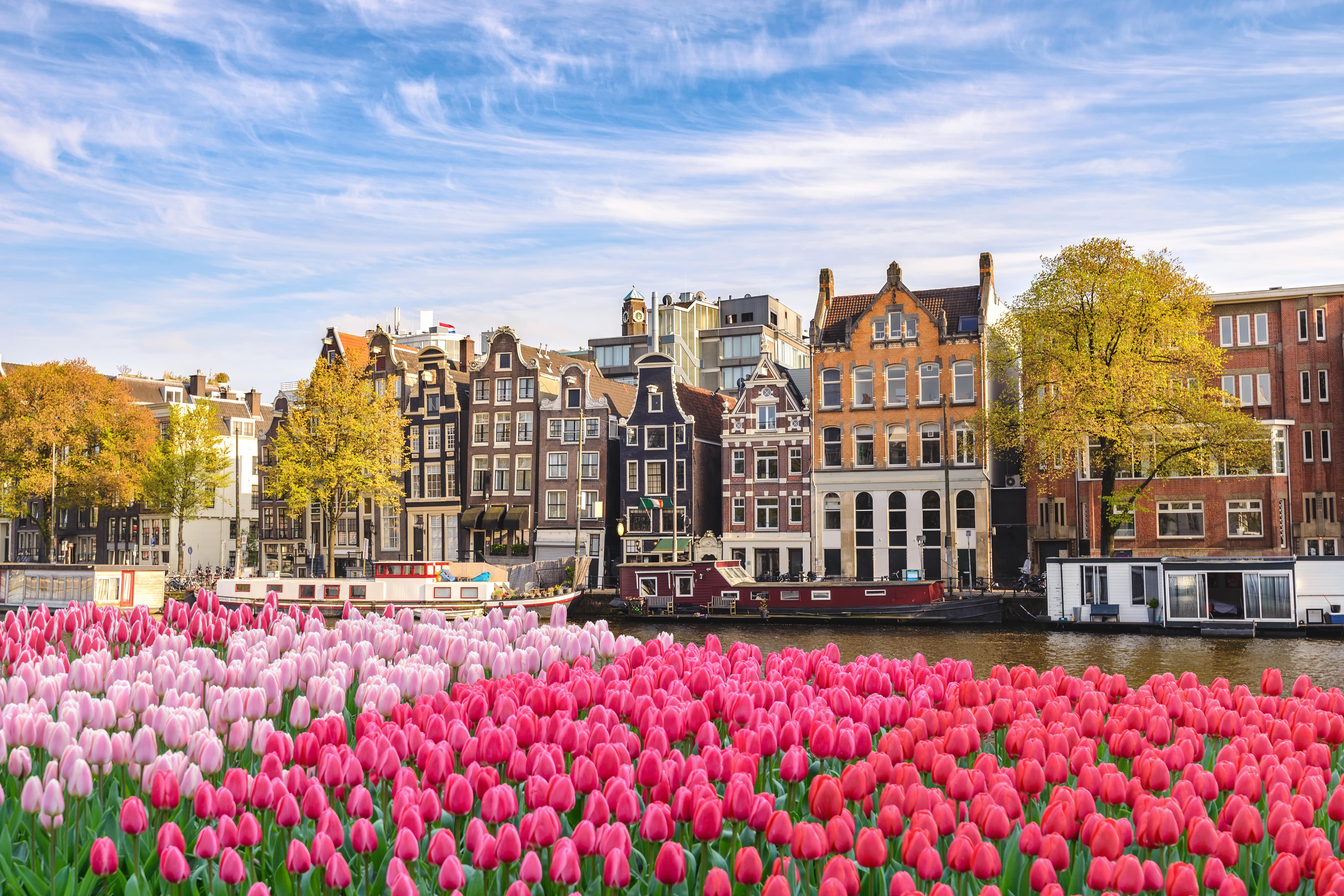 City Skyline in Amsterdam, Netherlands