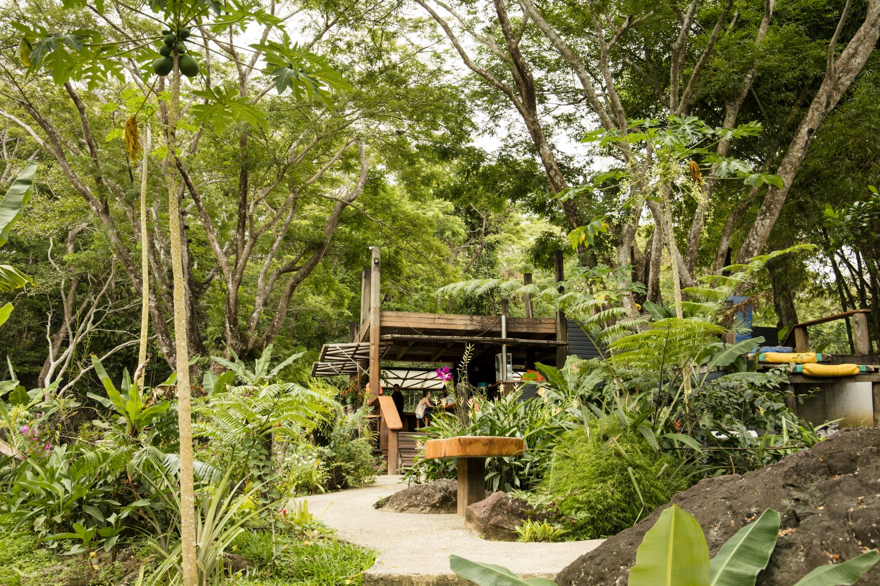 Garden of the sleeping giant in Fiji