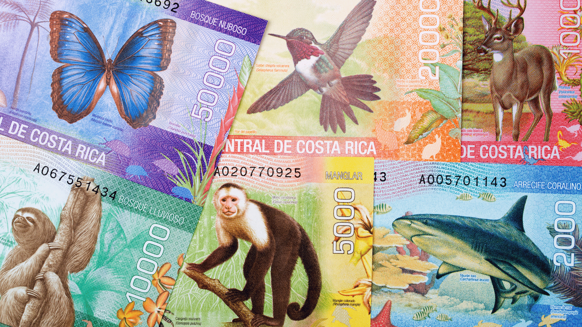 Colorful Costa Rican currency featuring coral reefs and tropical birds
