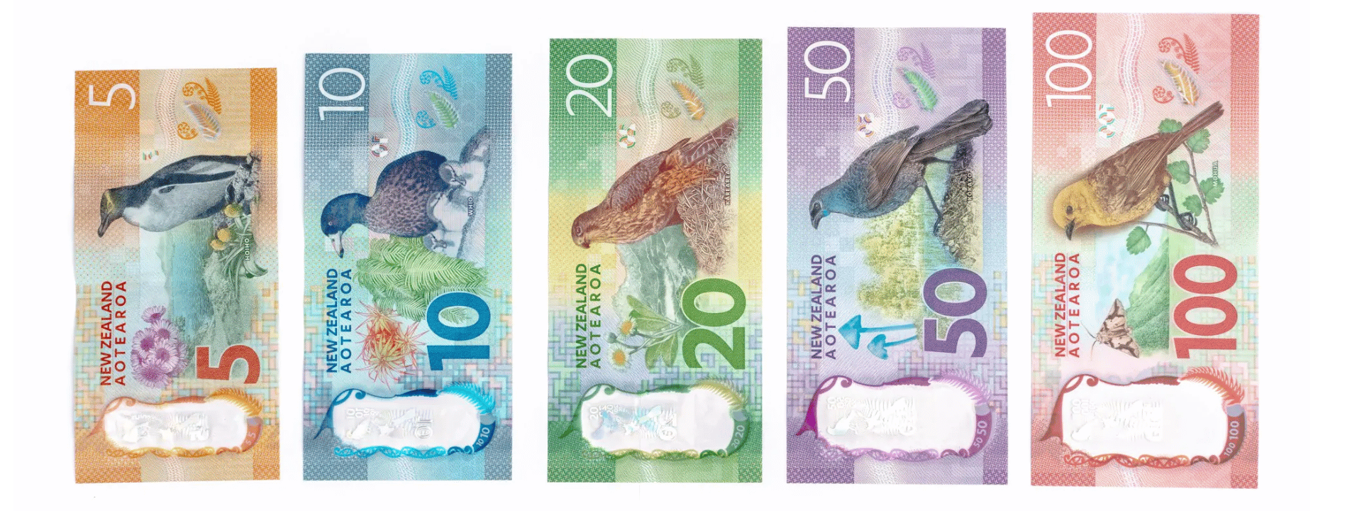 New Zealand banknote featuring yellow-eyed penguin and Māori design elements