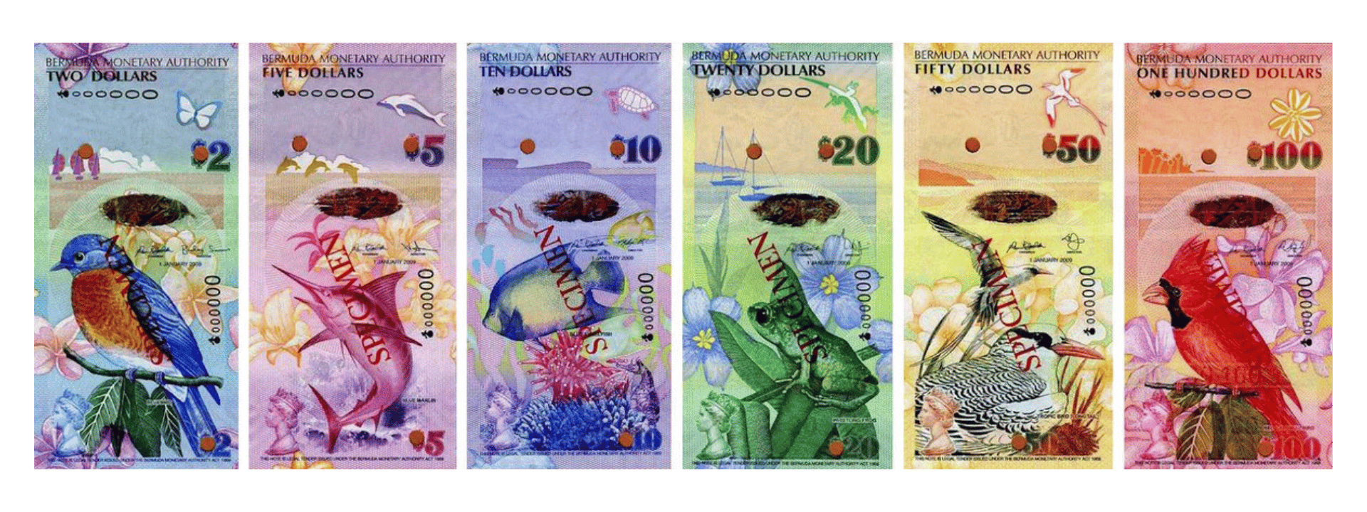 Bermuda 5-dollar vertical banknote with blue marlin and ocean waves