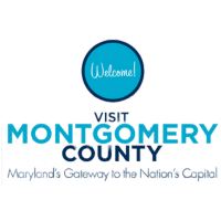 Logo 8